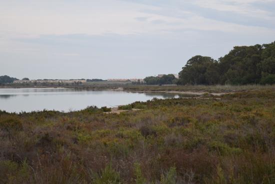 Salinas van Torrevieja en La Mata